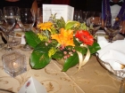 11_DSC04456a