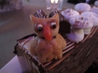 Food17