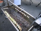 BBQ 5