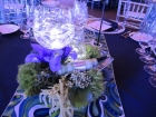 ambiance2