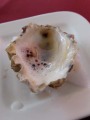 Amuse2
