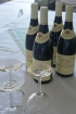 The-Judges-reward
