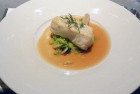 Halibut