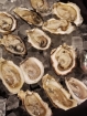 shucking-02
