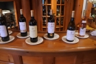 Wine_lineup_1