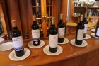 Wine_lineup_2