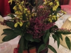 Decor3